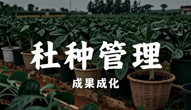技术推广中软件选型的关键考量因素